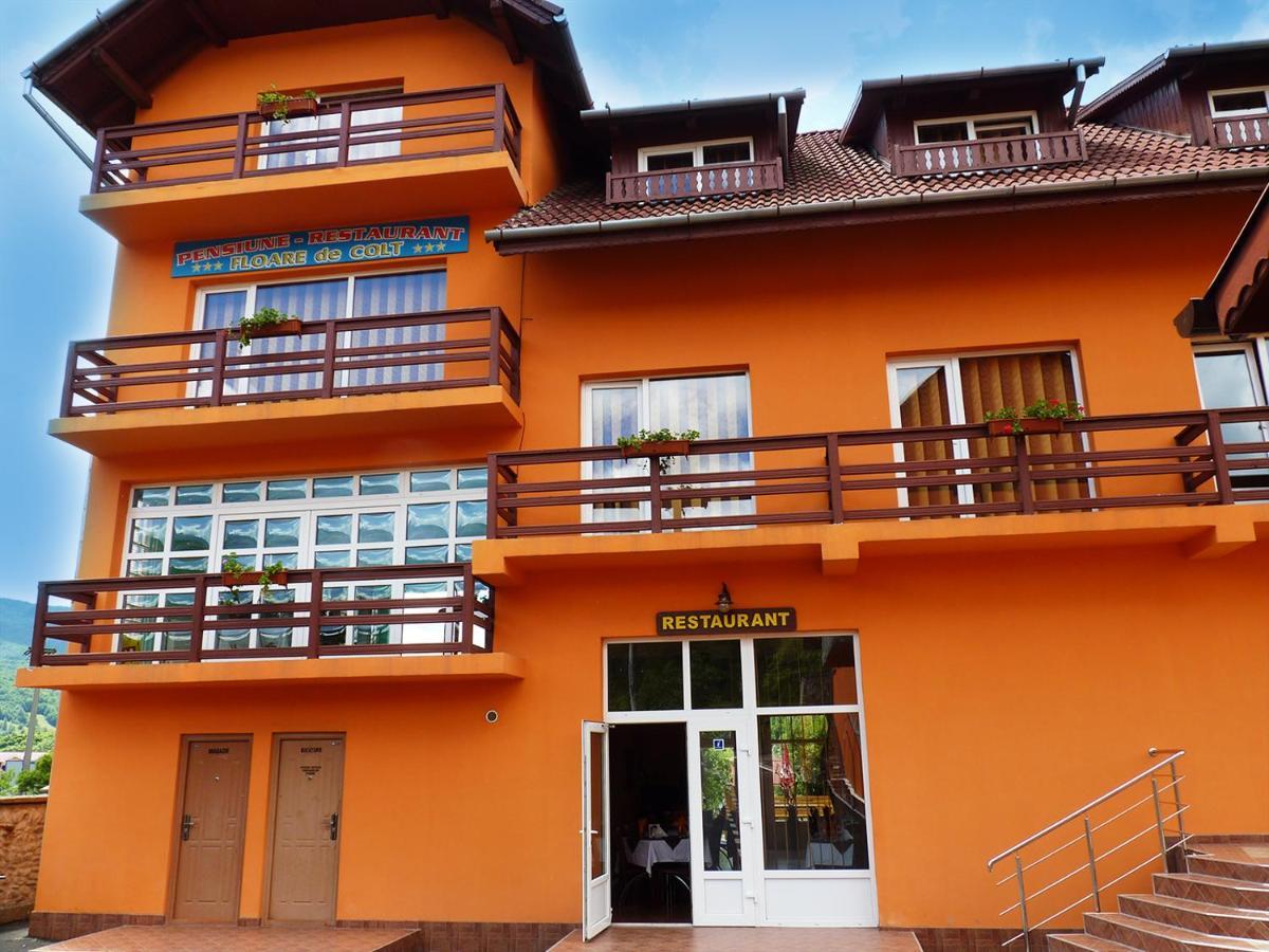 Floare De Colt Petrosani Hotel Exterior photo