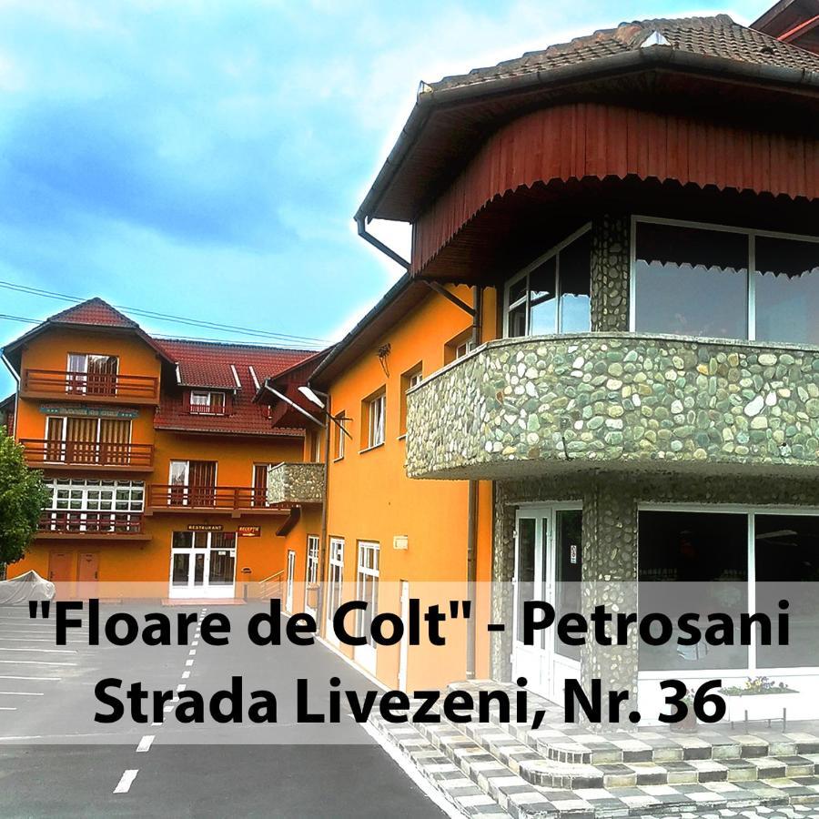 Floare De Colt Petrosani Hotel Exterior photo