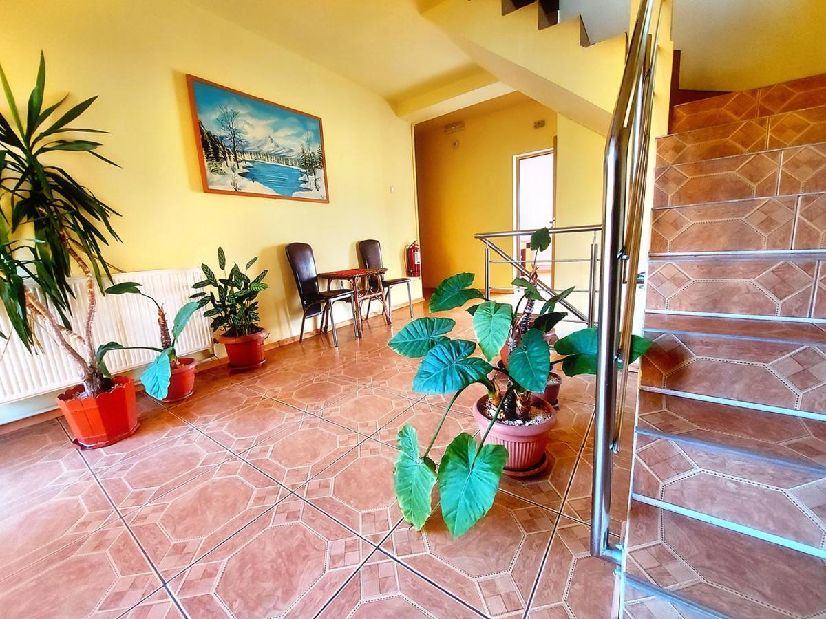 Floare De Colt Petrosani Hotel Exterior photo